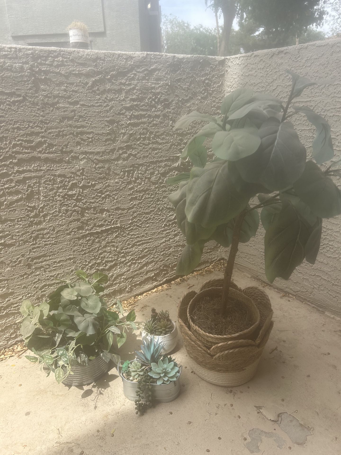 Fake plants