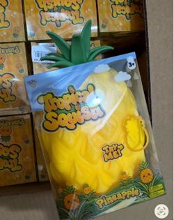 Pineapple squishy $10