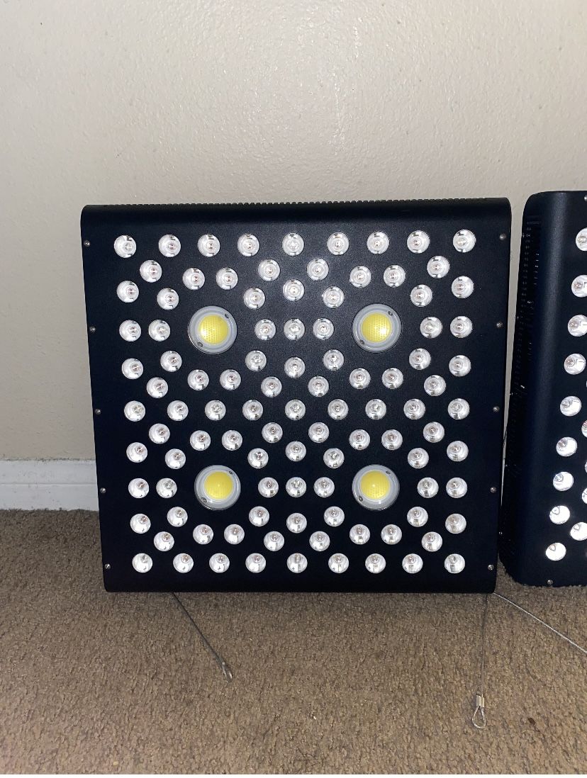 Aglex Cob Grow Lights