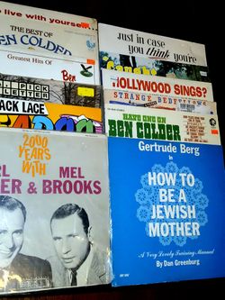 Great Family Entertainment RECORD LOT (12)  OG COMEDY ALBUMS Mel Brooks