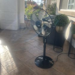 Fan $20