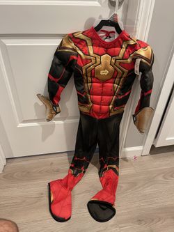 Iron-SpiderMan Costume
