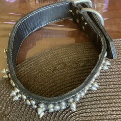 -Dog Collar-