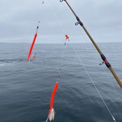 Deep Sea Fishing Rig/Lure Tube Eel Lure