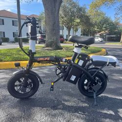 Electric Bike 