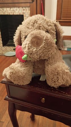 Brand new Russell Stover cocoa plus doggie with roses in the mouth $10 Firm price pick up only 865 Ellsworth avenue right off of East Livingston aven