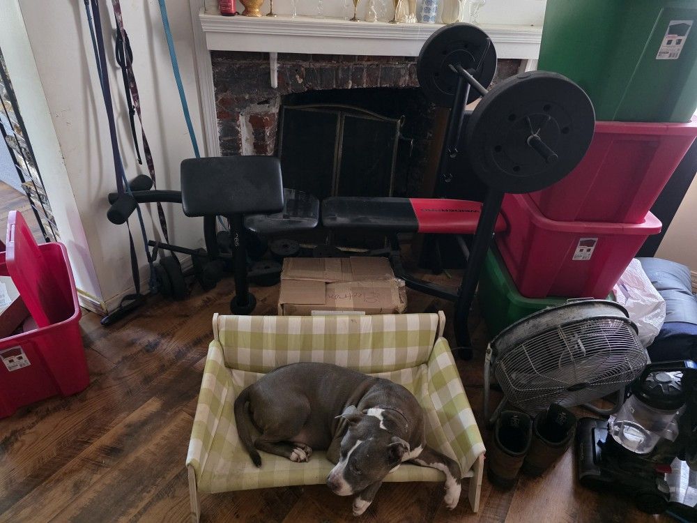 Weight Bench