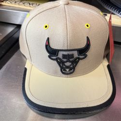 Mens Bulls Hat