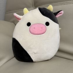 6 Squishmallow Bundle