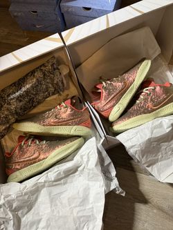 BRAND NEW NIKE LEBRON JAMES 21 QUEEN CONCH