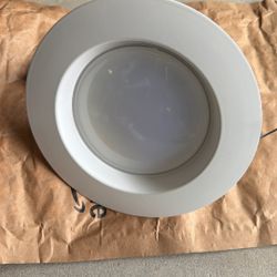 Led Dimmable Retrofit Light 