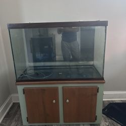 65 Gallon Tank An Stand An Light An Lid