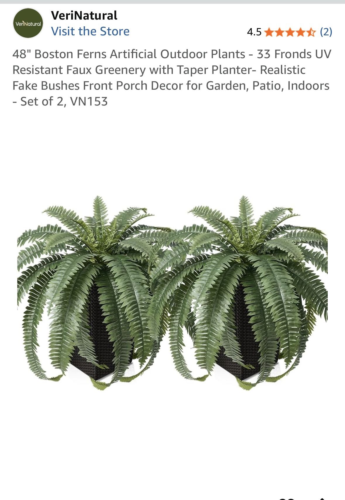 ARTIFICIAL FERNS X2