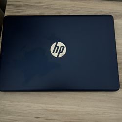 HP 10inch laptop like new works excellent  comes witj charger i just dont use it