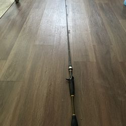 Daiwa AirdX Baitcaster Fishing Rod