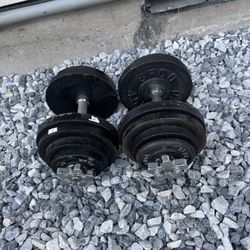 Ajustable Dumbbells 2x55 Lbs 