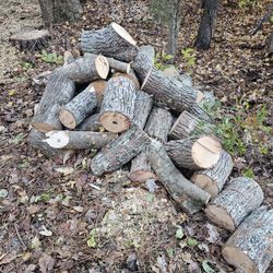 Free Firewood