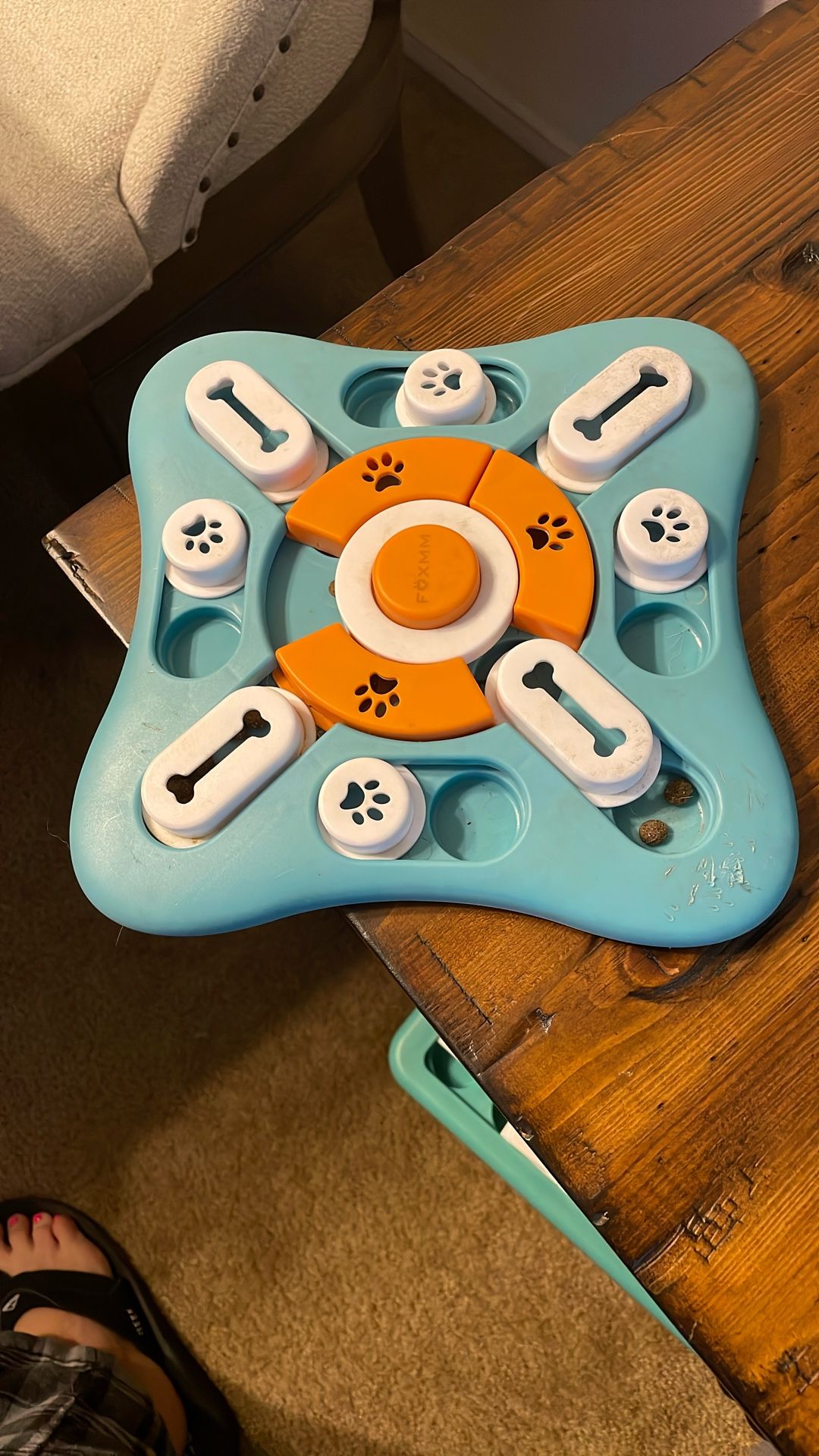 Dog activity feeder stage one
