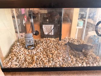 Aquarium
