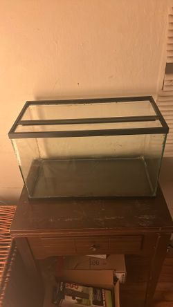 10 Gallon Glass Tank + Glass Lid