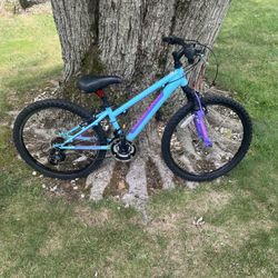 24” Nishiki Mountain Bike 