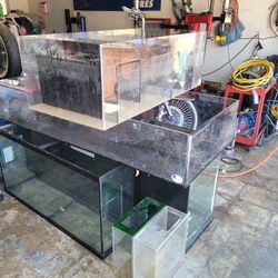 Fish Tanks And Sumps