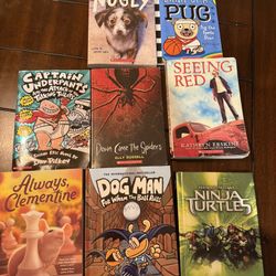 Kids Book Lot Perfect For Summer Reading