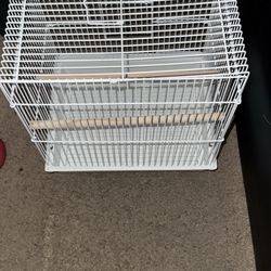 Buggie Parakeet cage comes with food and treats