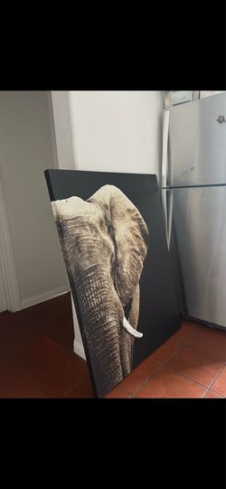 Modern Elephant Canvas