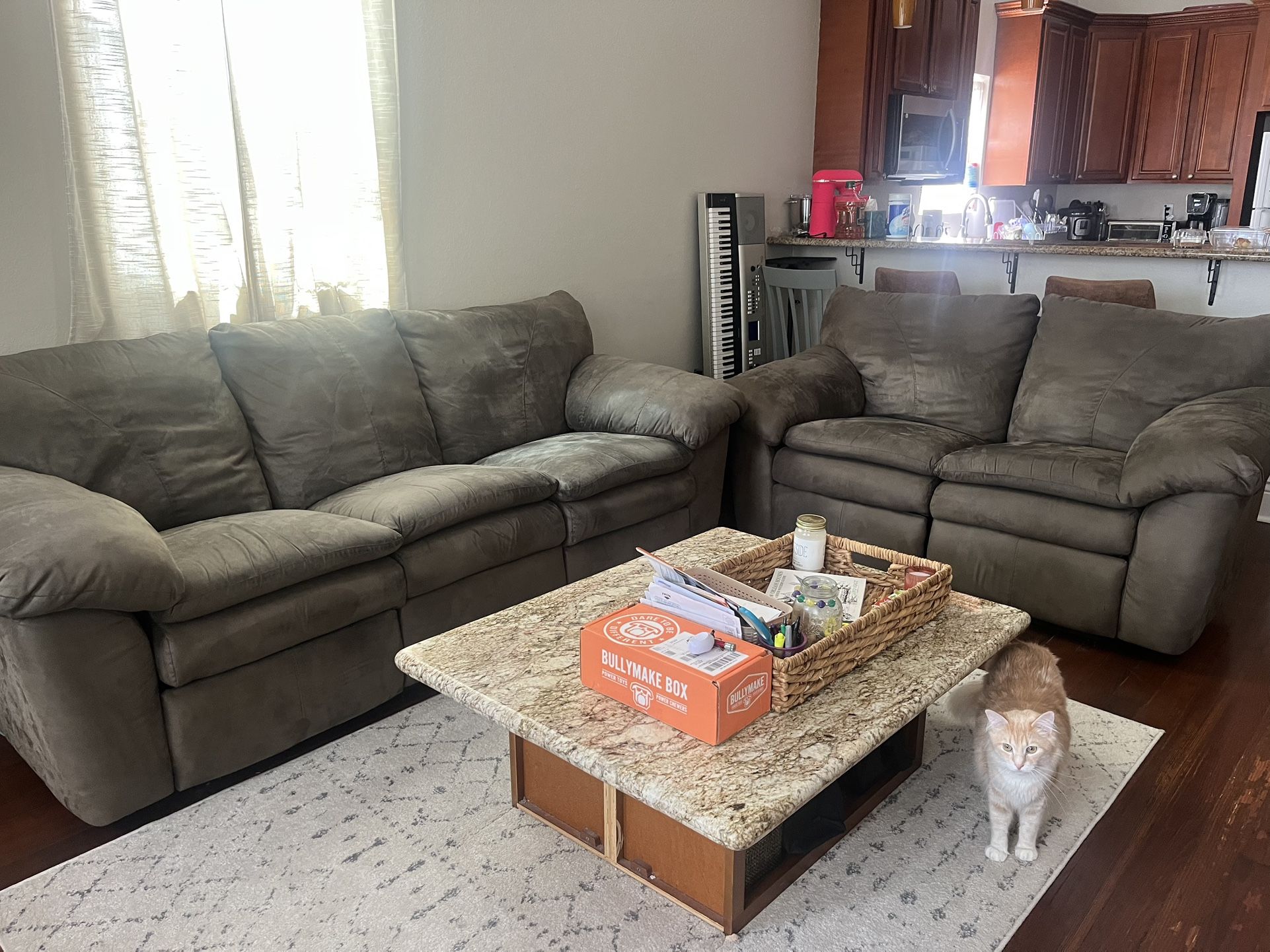 Two Comfortable Couches For Sale!
