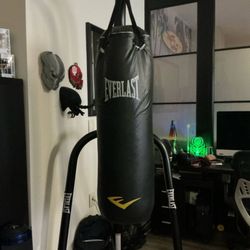 Punching Bag