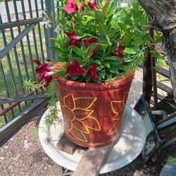 Red Flower Pot