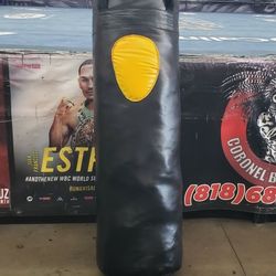 Punching Bag 