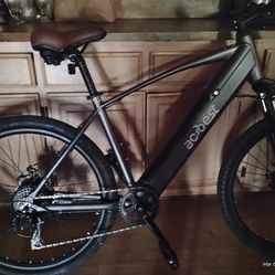 Acbest electric bike