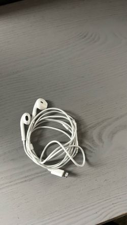 Apple wired headphones