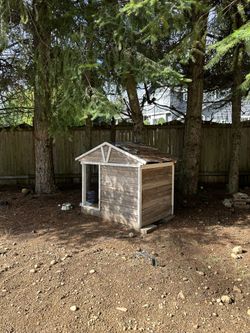 Medium To Large Dog House