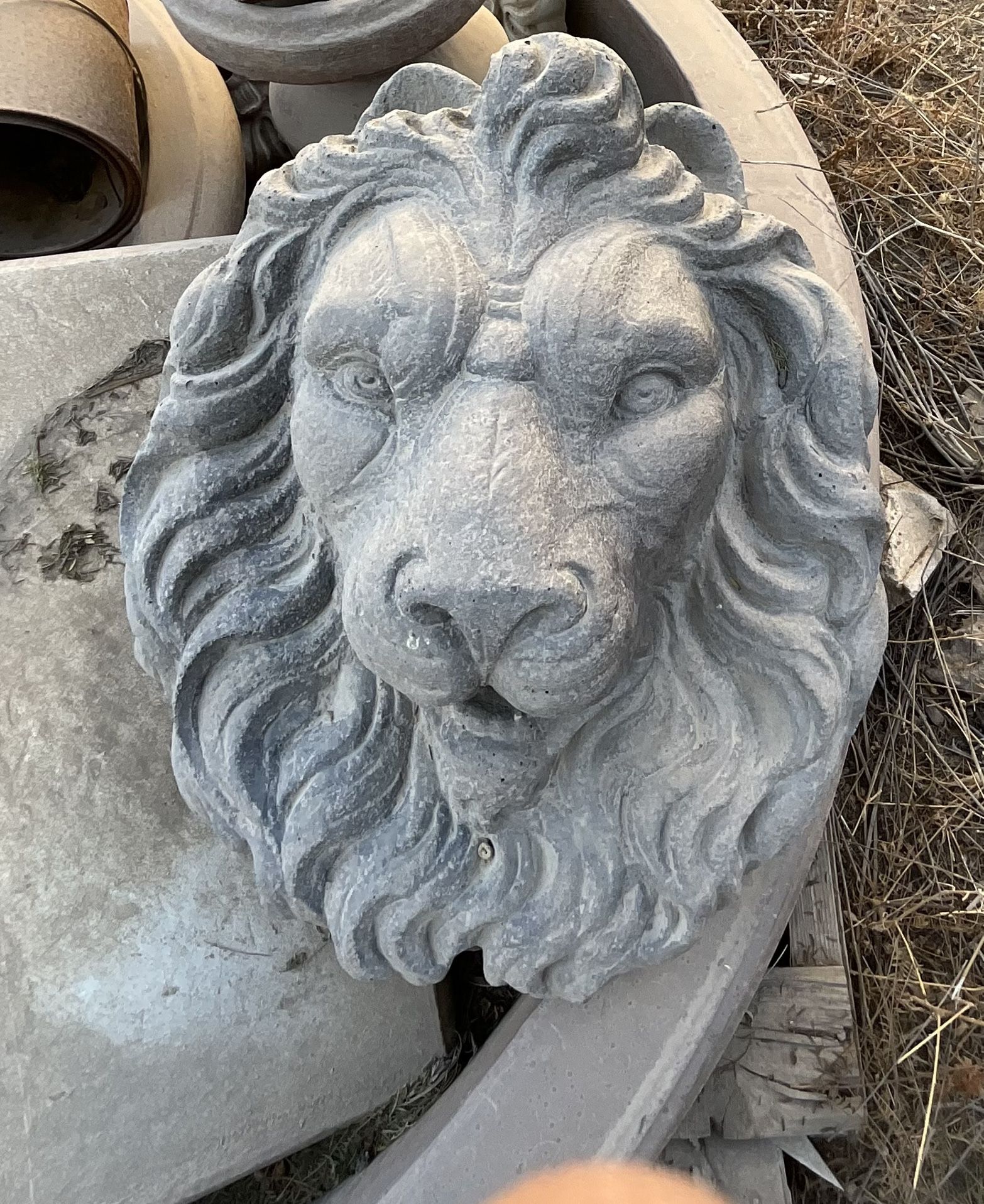 Lion Head Statue