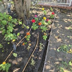 Irrigation Valves 