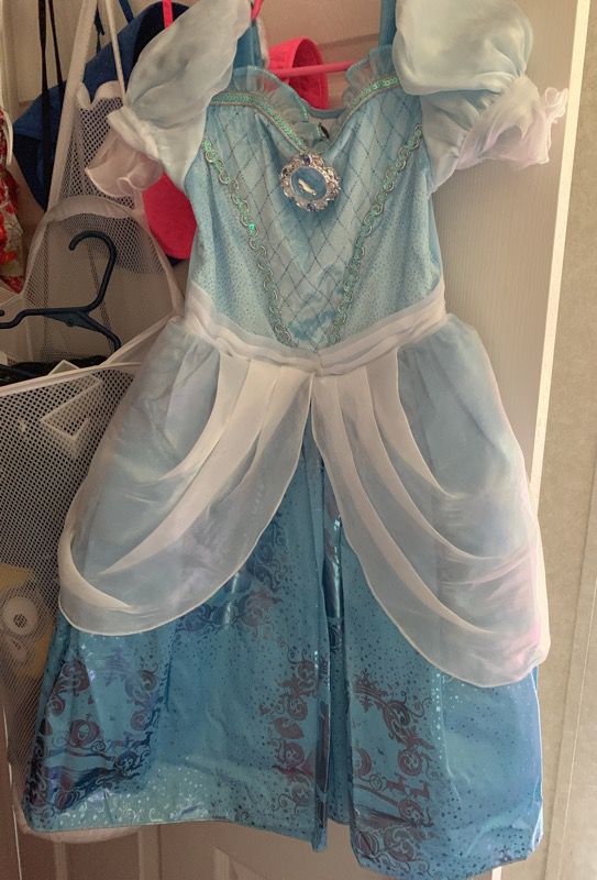 Disney Cinderella costume