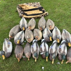 24 Mallard Decoys, Weights, & Camo Bag Carrier