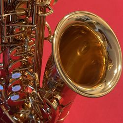 Selmer Reference 54 Alto Sax