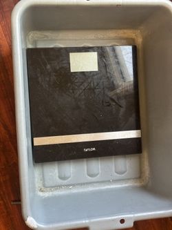 Scale