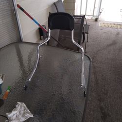 Harley Sissy Bar With Back Rest Pad