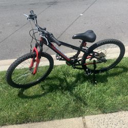 Nishiki Kids Bike 130
