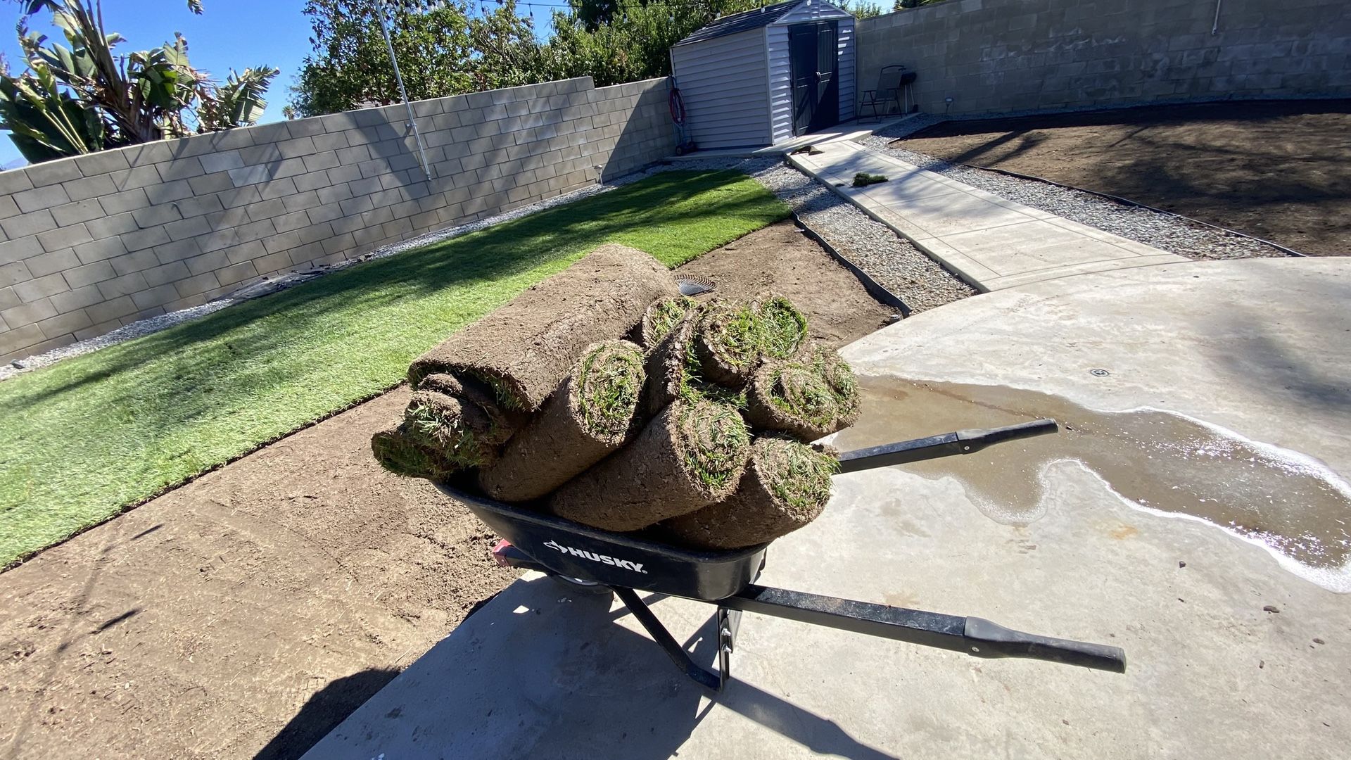 Fresh Sod And Sprinklers 