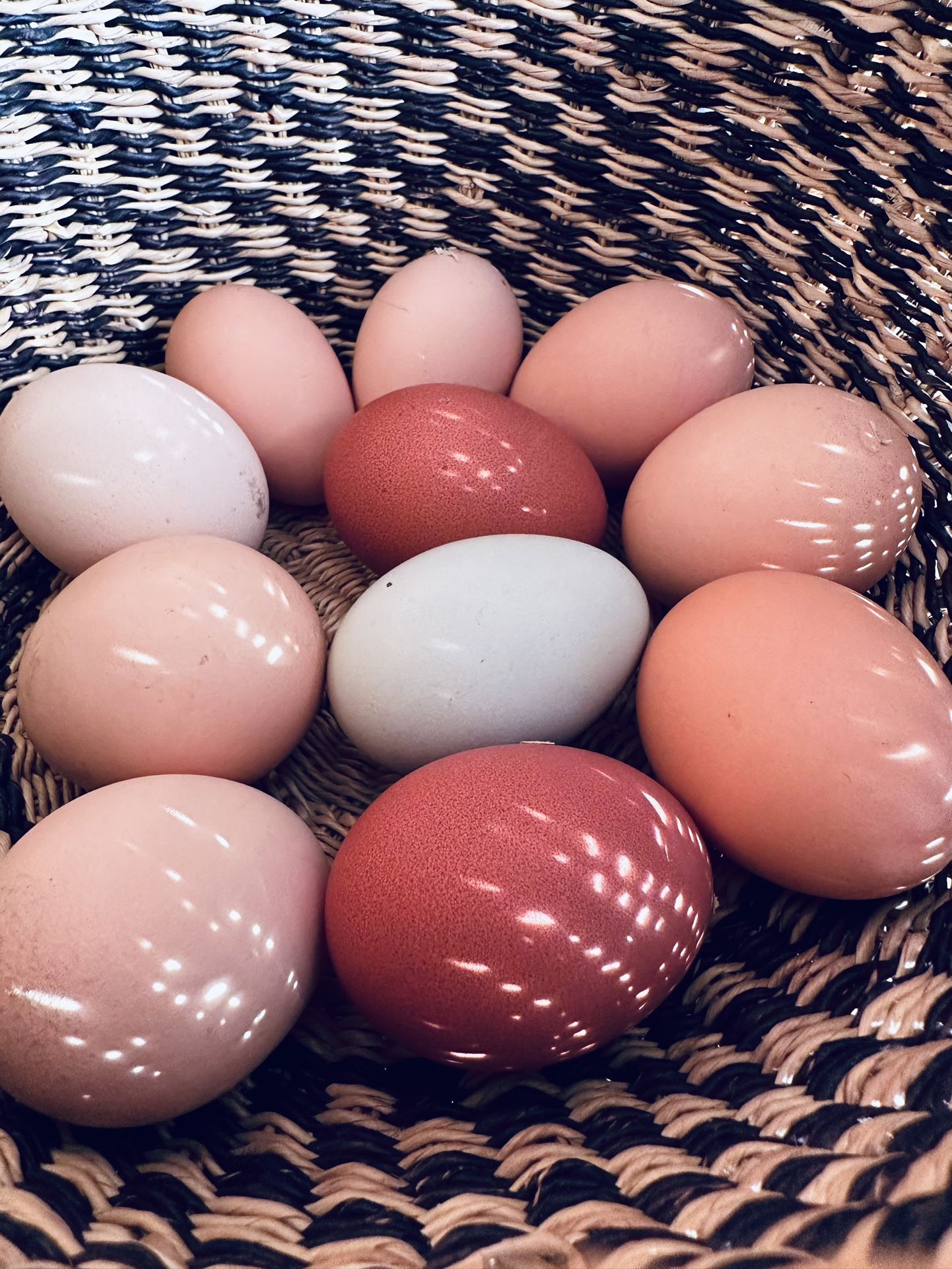 Chicken Eggs $5/dz
