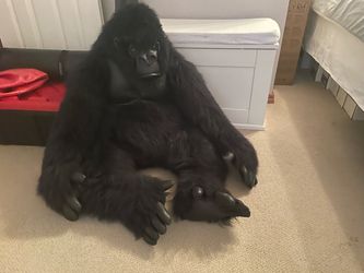 Huge stuffed gorilla from a smoke free home