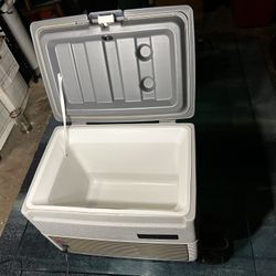 Electric Cooler 