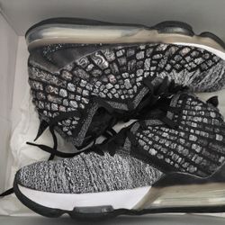 LeBron XVII