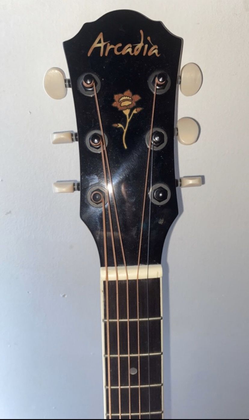 Arcadia acoustic guitar